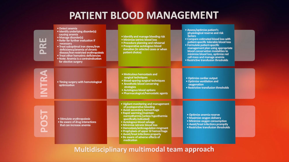 What Is The Definition Of Patient Blood Management 