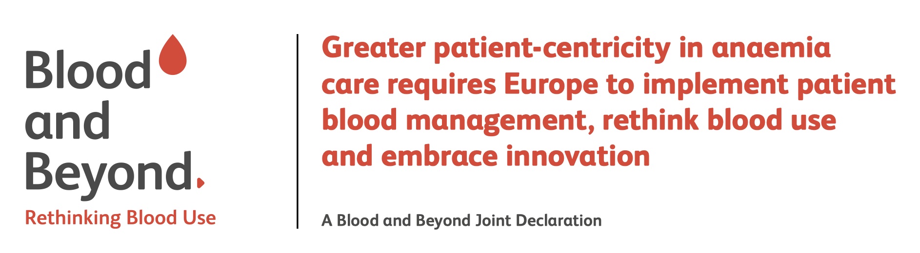 Blood and Beyond patient-centric anaemia article