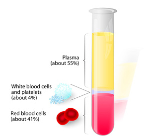 blood component chart